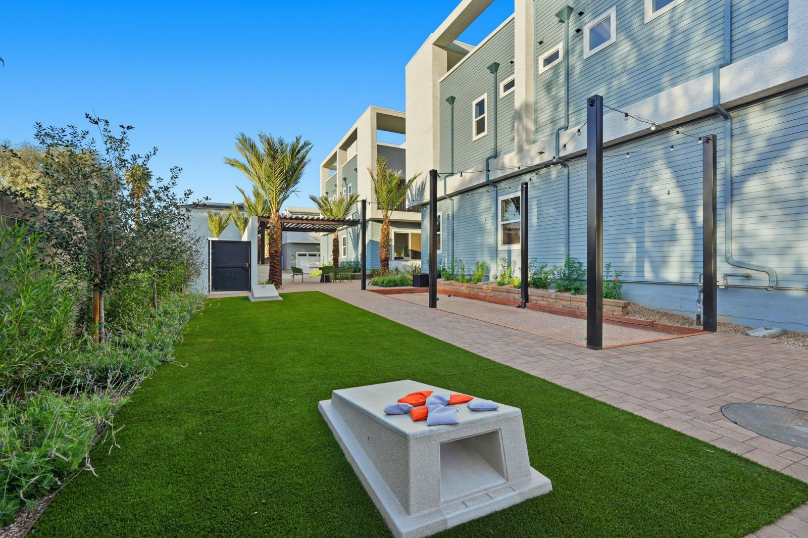 Community lawn and dog park with real grass — gated community paseo at The Bower Willo, Phoenix AZ 85003
